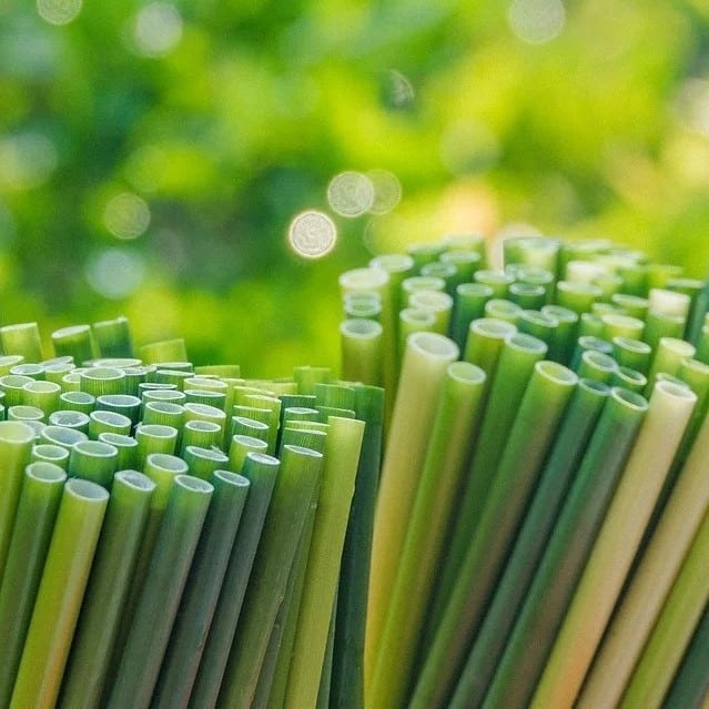 Grass-straws